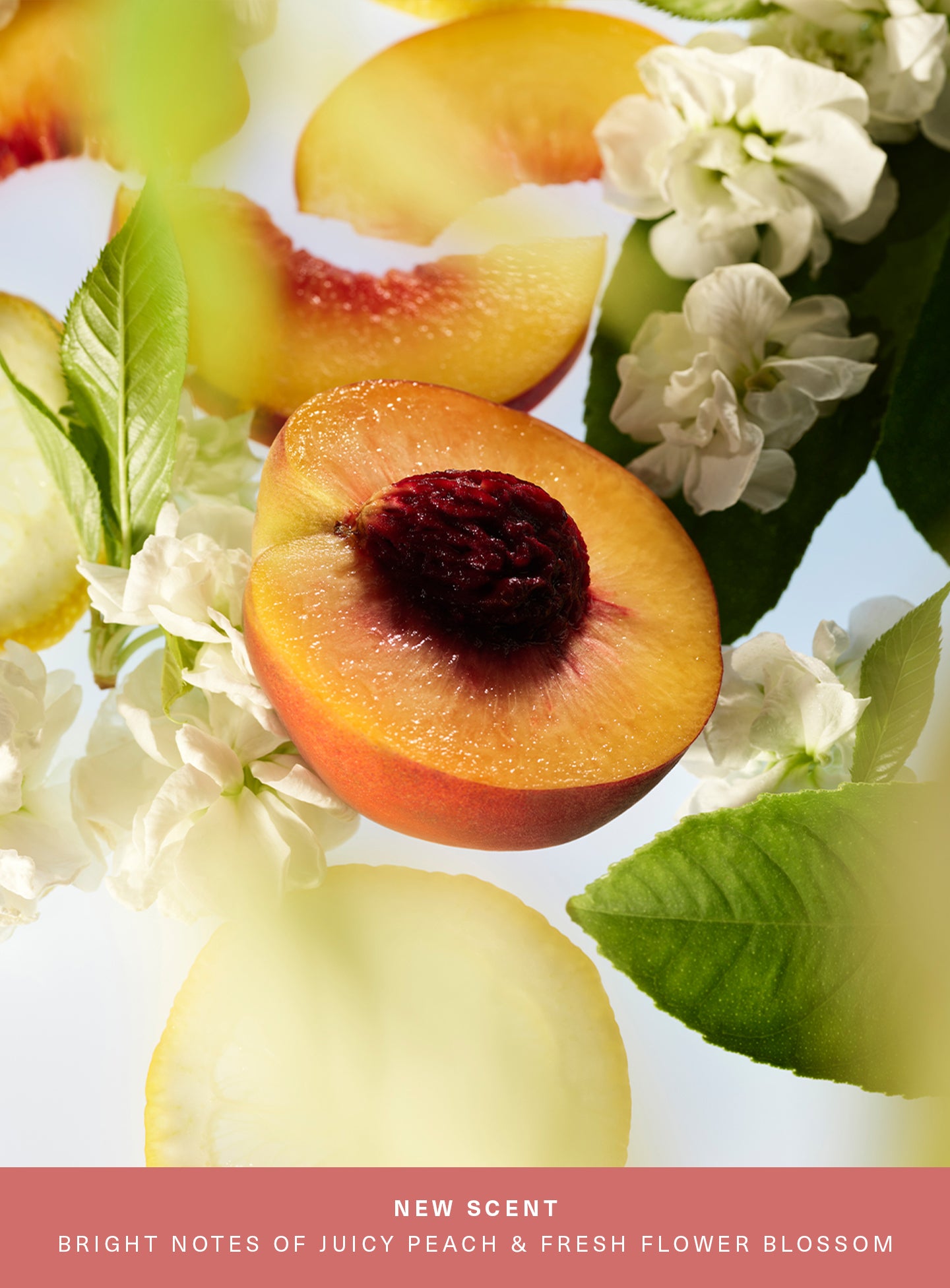 find comfort bouncy body cream awaken confidence find comfort bouncy body cream awaken confidence