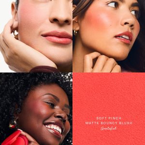 soft pinch matte bouncy blush