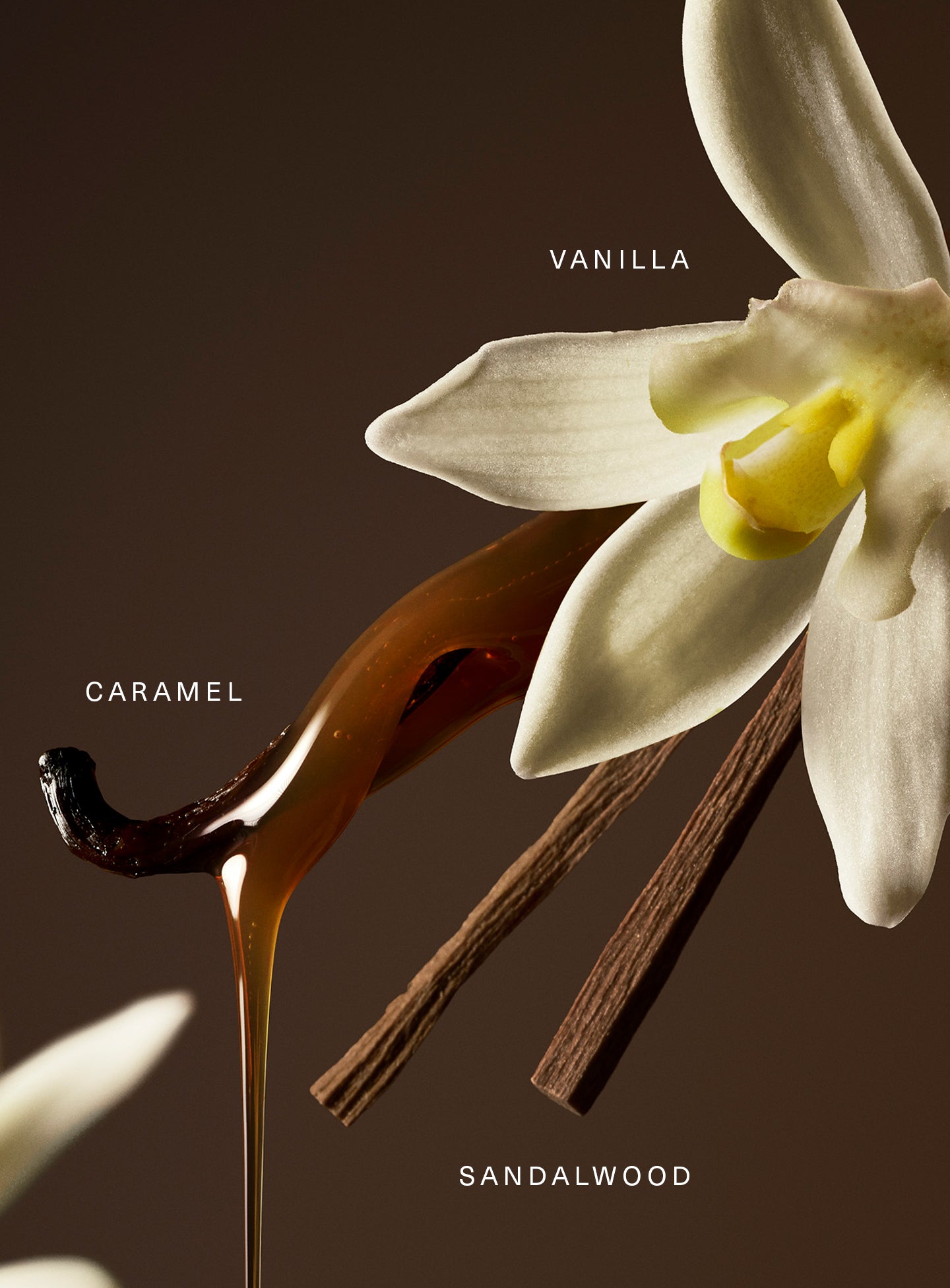 rare eau de parfum rare eau de parfum