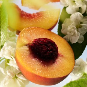 find comfort mini body essentials awaken confidence