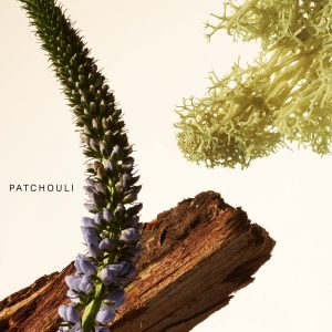 fragrance layering balm woody oak