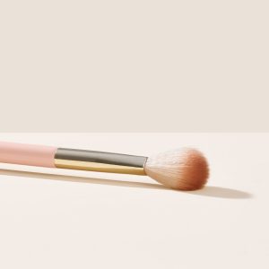 positive light precision highlighter brush